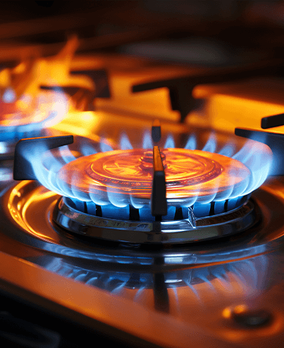 Gas Appliances Check